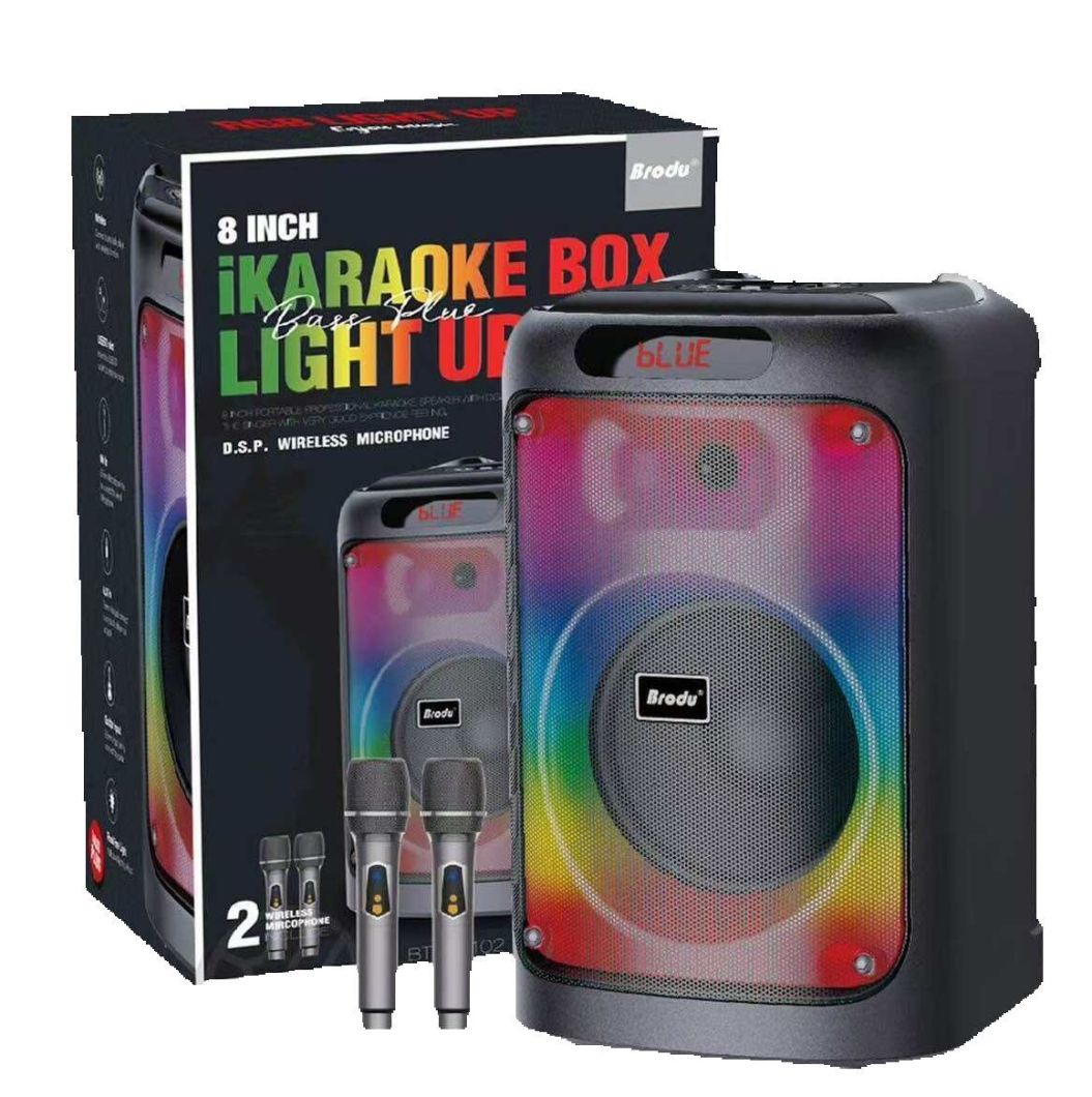Brodu BTS-2102 portable karaoke speaker