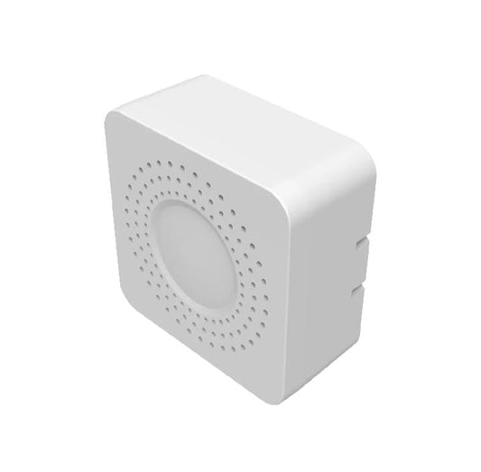 Smart Module Switch 2Ch