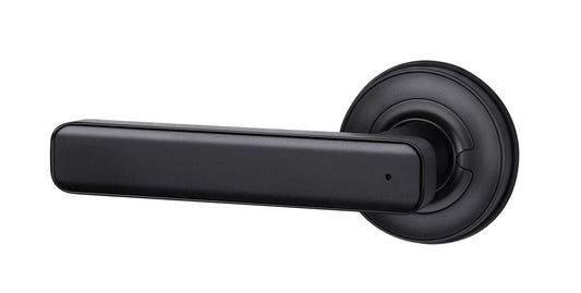 Smart Home Fingerprint Door Lock-LBB11