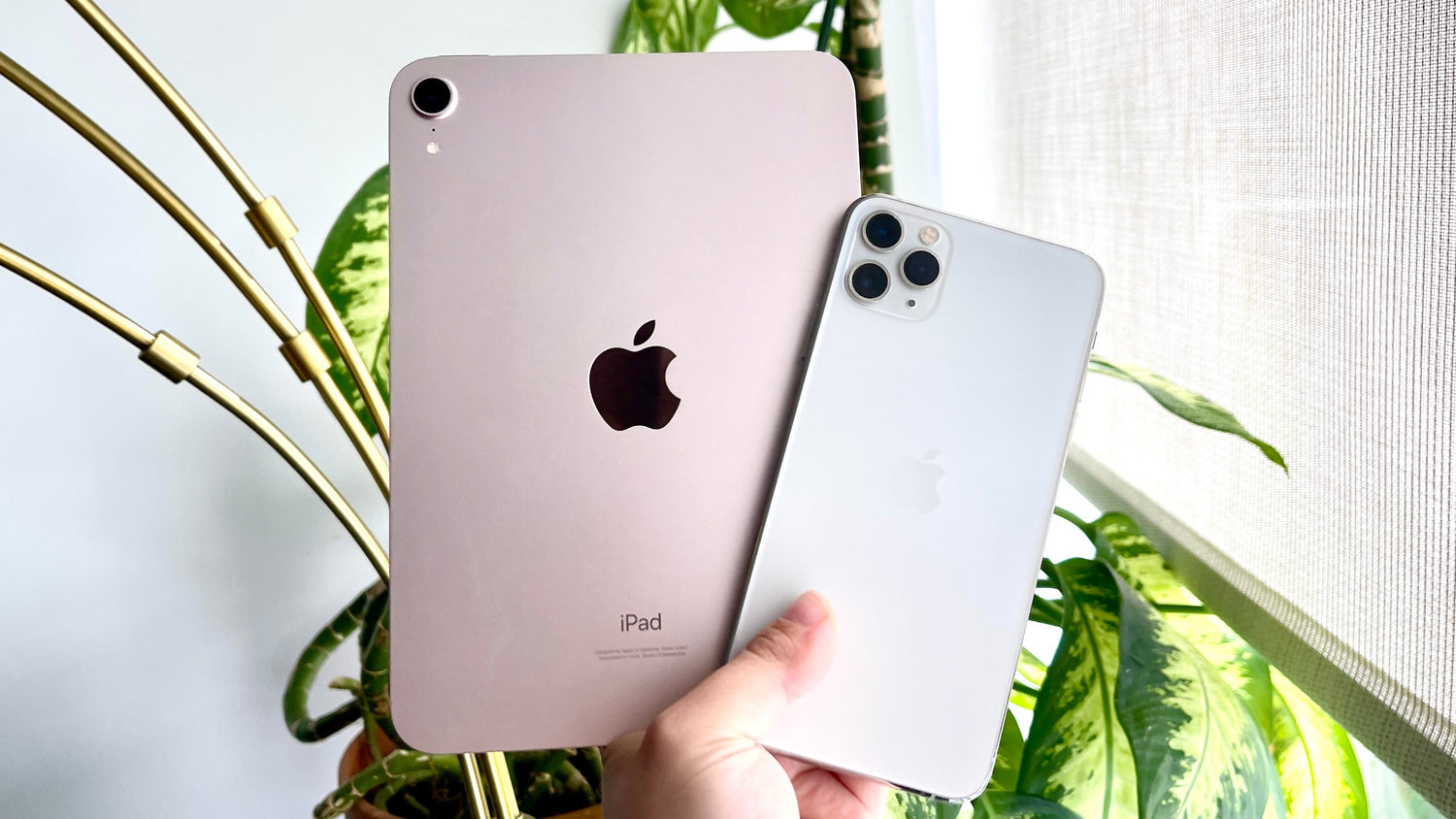 Phones & iPad