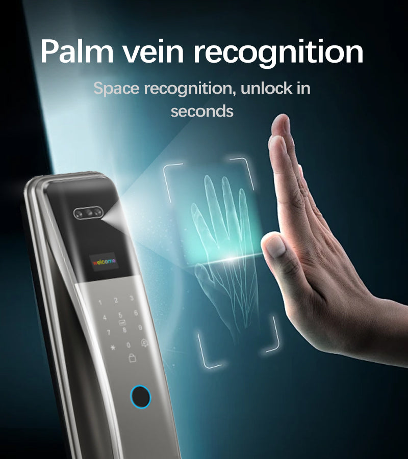 Smart Door Lock Face Recogntion-LWF29P