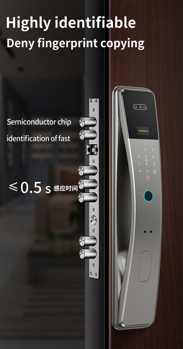 Smart Door Lock Face Recogntion-LWF29P