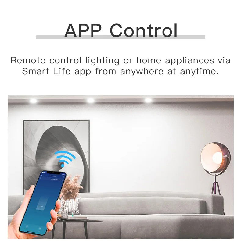 Smart Module Switch 2Ch