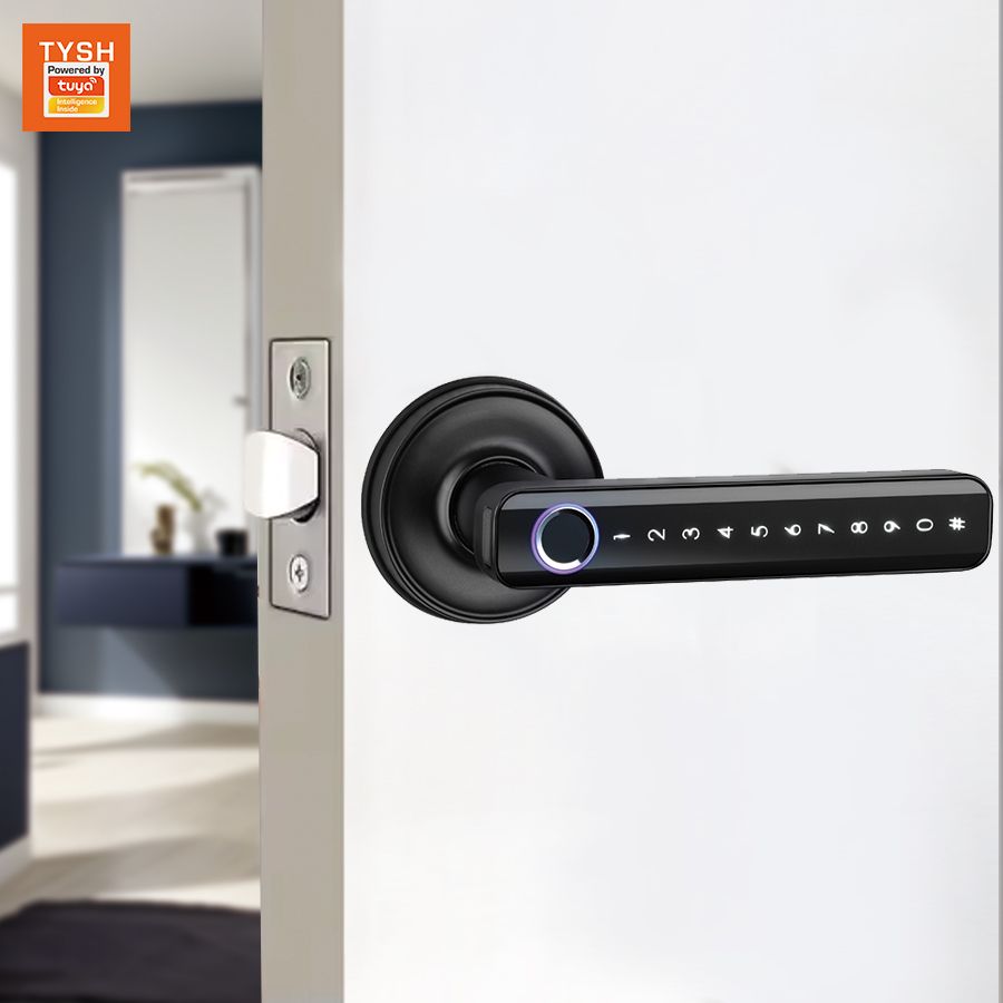 Smart Home Fingerprint Door Lock-LBB11