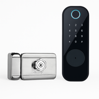 WiFi Smart Waterproof Gate Lock-LWN1