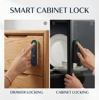 Cabinet Door Locks