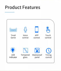 Smart Curtain Switch-C23